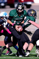 10-17-15 JV vs Widefield (Complete!)